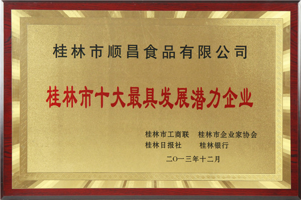 十大最具發(fā)展潛力企業(yè)獎牌