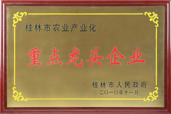 重點(diǎn)龍頭企業(yè)獎牌